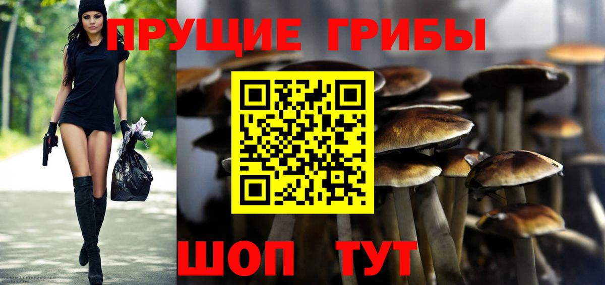 Галлюциногенные грибы MAGIC MUSHROOMS  Вход с VPN  Советский 
